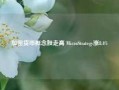 加密货币概念股走高 MicroStrategy涨8.4%