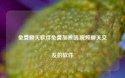 免费聊天软件免费加微信,视频聊天交友的软件