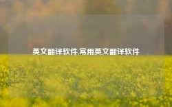 英文翻译软件,常用英文翻译软件