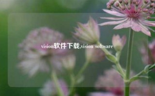 vision软件下载,vision software