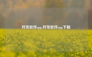 开发软件app,开发软件app下载