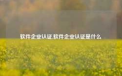 软件企业认证,软件企业认证是什么