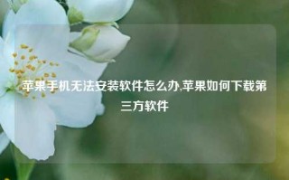 苹果手机无法安装软件怎么办,苹果如何下载第三方软件