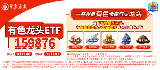 稀土+锂业股联袂狂飙，有色龙头ETF（159876）盘中上探1．63%，有研新材连收5个涨停-第3张图片-国津软件-十年只做一个产品!IT--系统,B--系统,IT--,ITIL！