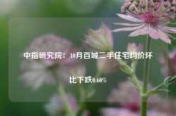 中指研究院：10月百城二手住宅均价环比下跌0.60%-第1张图片-国津软件-十年只做一个产品!IT--系统,B--系统,IT--,ITIL！