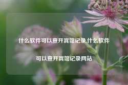 什么软件可以查开宾馆记录,什么软件可以查开宾馆记录网站-第1张图片-国津软件-十年只做一个产品!IT--系统,B--系统,IT--,ITIL！