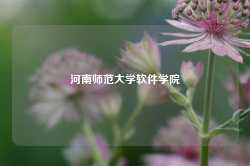 河南师范大学软件学院-第1张图片-国津软件-十年只做一个产品!IT--系统,B--系统,IT--,ITIL！