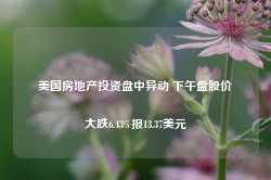 美国房地产投资盘中异动 下午盘股价大跌6.43%报13.37美元-第1张图片-国津软件-十年只做一个产品!IT--系统,B--系统,IT--,ITIL！