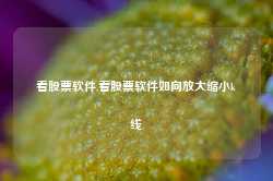 看股票软件,看股票软件如向放大缩小k线-第1张图片-国津软件-十年只做一个产品!IT--系统,B--系统,IT--,ITIL！