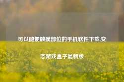 可以随便触摸部位的手机软件下载,变态游戏盒子最新版-第1张图片-国津软件-十年只做一个产品!IT--系统,B--系统,IT--,ITIL！