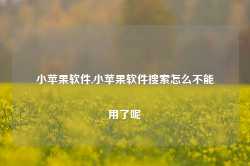 小苹果软件,小苹果软件搜索怎么不能用了呢-第1张图片-国津软件-十年只做一个产品!IT--系统,B--系统,IT--,ITIL！