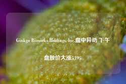 Ginkgo Bioworks Holdings, Inc.盘中异动 下午盘股价大涨5.19%-第1张图片-国津软件-十年只做一个产品!IT--系统,B--系统,IT--,ITIL！