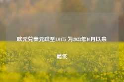 欧元兑美元跌至1.0475 为2023年10月以来最低-第1张图片-国津软件-十年只做一个产品!IT--系统,B--系统,IT--,ITIL！