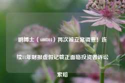 鹏博士（600804）再次被立案调查！连续11年财报虚假记载正面临投资者诉讼索赔-第1张图片-国津软件-十年只做一个产品!IT--系统,B--系统,IT--,ITIL！