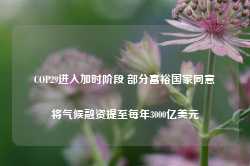 COP29进入加时阶段 部分富裕国家同意将气候融资提至每年3000亿美元-第1张图片-国津软件-十年只做一个产品!IT--系统,B--系统,IT--,ITIL！