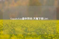 Carparts.Com盘中异动 大幅下挫5.36%-第1张图片-国津软件-十年只做一个产品!IT--系统,B--系统,IT--,ITIL！