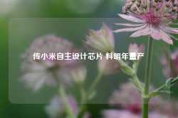 传小米自主设计芯片 料明年量产-第1张图片-国津软件-十年只做一个产品!IT--系统,B--系统,IT--,ITIL！