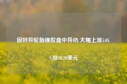 固特异轮胎橡胶盘中异动 大幅上涨5.05%报10.20美元-第1张图片-国津软件-十年只做一个产品!IT--系统,B--系统,IT--,ITIL！