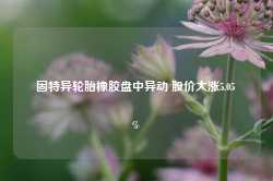 固特异轮胎橡胶盘中异动 股价大涨5.05%-第1张图片-国津软件-十年只做一个产品!IT--系统,B--系统,IT--,ITIL！