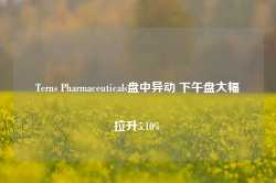 Terns Pharmaceuticals盘中异动 下午盘大幅拉升5.10%-第1张图片-国津软件-十年只做一个产品!IT--系统,B--系统,IT--,ITIL！