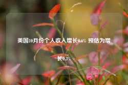 美国10月份个人收入增长0.6% 预估为增长0.3%-第1张图片-国津软件-十年只做一个产品!IT--系统,B--系统,IT--,ITIL！