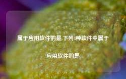 属于应用软件的是,下列4种软件中属于应用软件的是