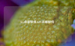 ktv点歌软件,KTV点歌软件