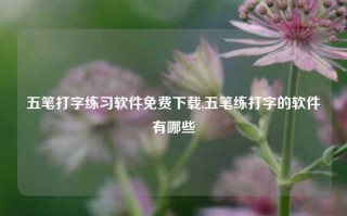 五笔打字练习软件免费下载,五笔练打字的软件有哪些