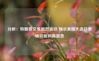 分析：特朗普交易剧烈波动 预示美国大选日市场可能风高浪急