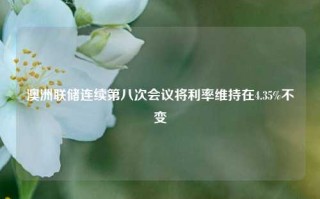 澳洲联储连续第八次会议将利率维持在4.35%不变