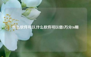 什么软件可以,什么软件可以借5万分36期