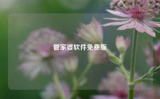 管家婆软件免费版