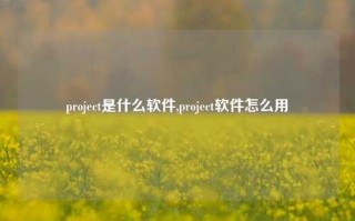 project是什么软件,project软件怎么用