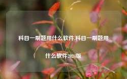 科目一刷题用什么软件,科目一刷题用什么软件2024版