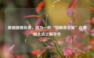 美国国债反弹，因为一些“特朗普交易”在美国大选之前平仓