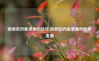 锁屏后仍能录像的软件,锁屏后仍能录像的软件免费