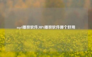 mp4播放软件,MP4播放软件哪个好用