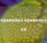 电脑录制视频软件,电脑录制视频软件免费