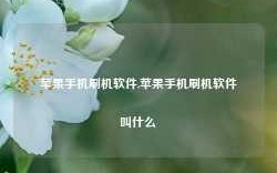 苹果手机刷机软件,苹果手机刷机软件叫什么