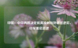 印媒：中印两国决定脱离接触和协调巡逻后，印军重启巡逻