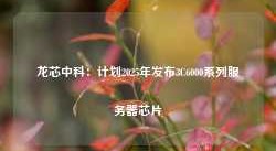 龙芯中科：计划2025年发布3C6000系列服务器芯片