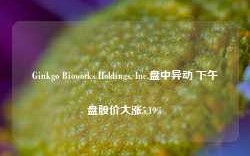 Ginkgo Bioworks Holdings, Inc.盘中异动 下午盘股价大涨5.19%