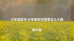 小苹果软件,小苹果软件搜索怎么不能用了呢