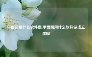 平面图用什么软件做,平面图用什么软件做成立体图