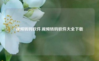 视频转码软件,视频转码软件大全下载