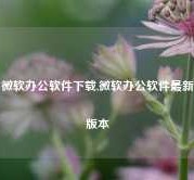 微软办公软件下载,微软办公软件最新版本