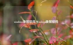 windows录屏软件,Windows录屏软件