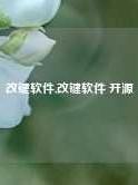 改键软件,改键软件 开源