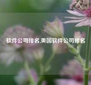 软件公司排名,美国软件公司排名