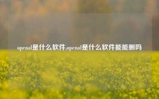 openal是什么软件,openal是什么软件能能删吗